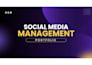 be your canva virtual assistant, design and schedule social media posts